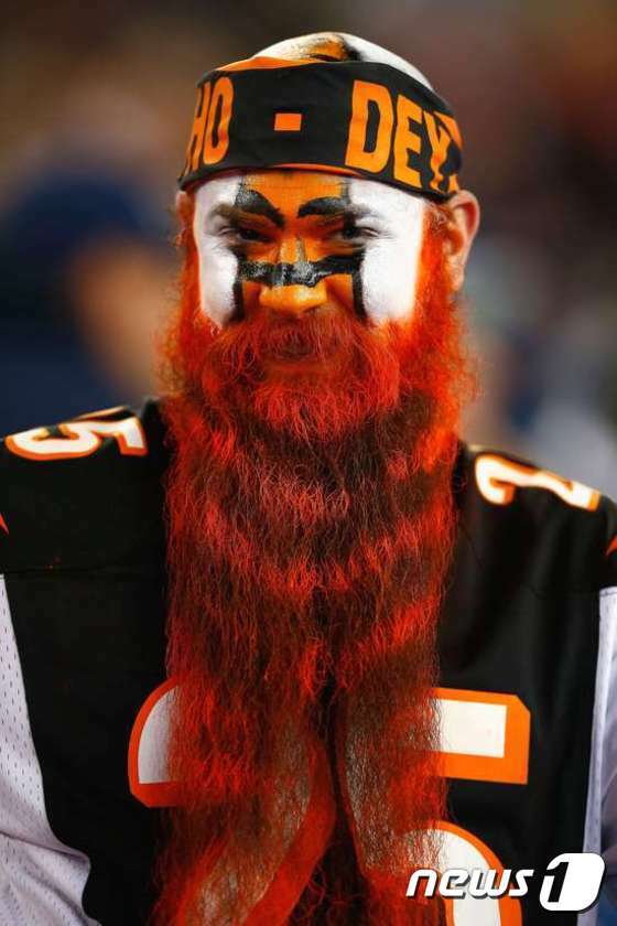 본문 이미지 - 신시내티 뱅골스의 한 팬이 용맹한 호랑이 모습으로 분장해 눈길을 끈다. ⓒ AFP= News1