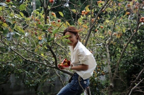 본문 이미지 - 가수 이효리가 제주도 신혼집을 매물로 내놓은 것으로 알려졌다. ⓒ News1스포츠 / 이효리 블로그