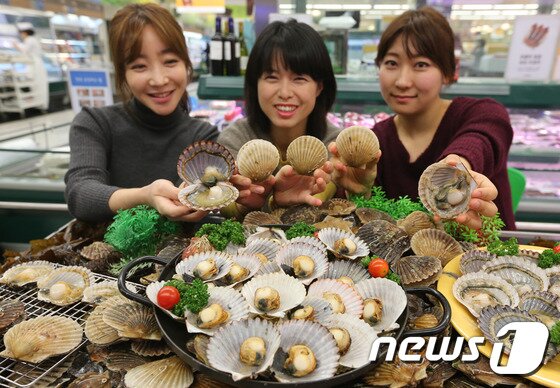 본문 이미지 - 국내에서 양식한 활가리비. /뉴스1 ⓒ News1 송원영 기자