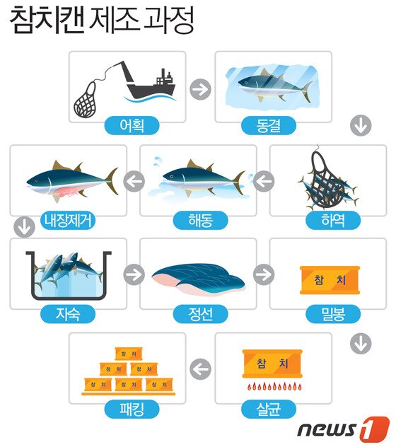 본문 이미지 - 국내 유통 참치캔 제조과정 ⓒ News1