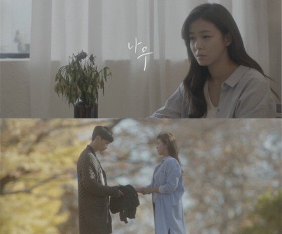본문 이미지 - 버즈 '나무' 뮤직비디오가 관심을 끌고 있다. ⓒ 버즈 '나무' 뮤직비디오 영상 캡처
