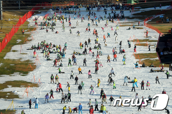 11월 마지막 토요일인 29일 오후 강원 홍천군에 위치한 한 스키장에 스키어들과 보더들이 인산인해를 이루고 있는 가운데 스키장 곳곳에 눈이 녹아 잔디가 훤히 보여지고 있다. 2014.11.29/뉴스1 © News1 윤창완 기자