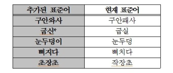 본문 이미지 - 현재 표준어와 같은 뜻을 가진 표준어로 인정한 5개 어휘. ⓒ News1스포츠 / 국립국어원 제공