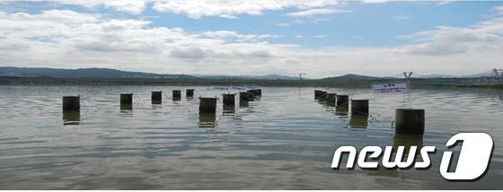 본문 이미지 - 세종보 200m 상류 지점인 세종보관리사무소 앞 수역에 설치된 메조코즘. ⓒ News1