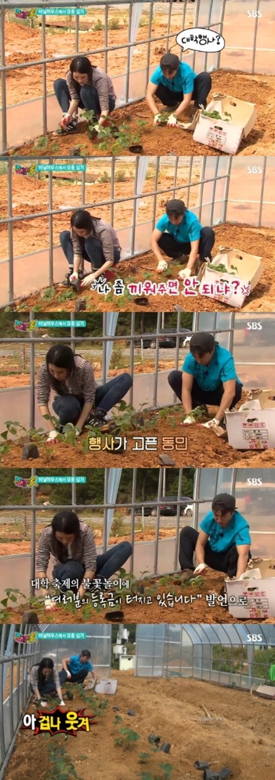 본문 이미지 - SBS 예능프로그램 &acute;에코빌리지 즐거운 가&acute;(이하 &acute;즐거운 가&acute;)에서는 장동민과 걸스데이 멤버 유라가 딸기 모종을 심으면서 장동민이 대학교 행사를 하지 못하는 이유를 밝혀 폭소를 자아냈다. @ SBS 방송 캡처