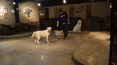 본문 이미지 - ⓒ News1