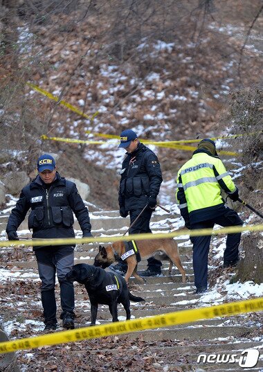 본문 이미지 - 경기도 수원 팔달산 등산로에서 토막 난 인체 상반신이 발견된 지 나흘째인 7일 오후 경찰이 수색견을 동원해 팔달산 일대를 수색하고 있다.  2014.12.7/뉴스1 ⓒ News1 김영진 기자