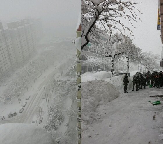 본문 이미지 - 트위터리안 &#39;@BBH_0107&#39;와 &#39;@seaman1552&#39;이 게재한 사진. © News1  