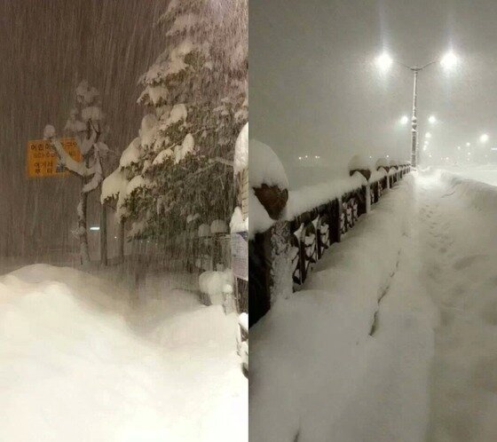 본문 이미지 - 인터넷 커뮤니티 &#39;인스티즈&#39;에 게재된 사진들. © News1  