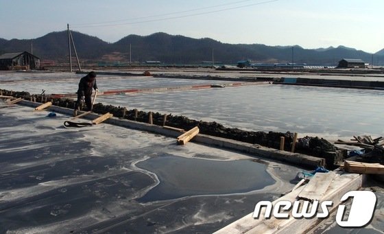 전남 신안군 신의면 염전. 사진은 기사와 관계 없음.ⓒ News1 박준배 기자