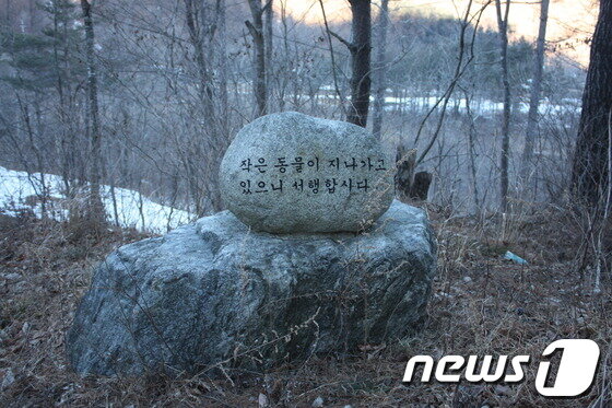 본문 이미지 - 강릉 부연마을 입구에 있는 표지석. 표지석에는 &#39;작은 동물이 지나가고 있으니 서행합시다&#39;라는 글귀가 있다.&#40;강원지방우정청 제공&#41; © News1 권혜민 기자  