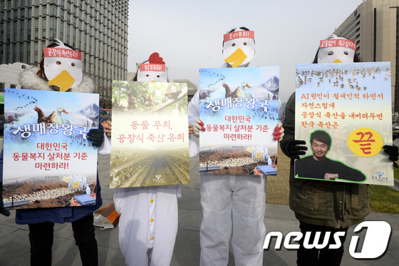 (서울=뉴스1) 안은나 기자 = 환경운동연합, 동물보호시민단체 등 동물·환경 단체 회원들이 6일 오전 서울 광화문 광장에서 AI 사태에 대한 공동 기자회견을 열고 있다.이들은 조류 …