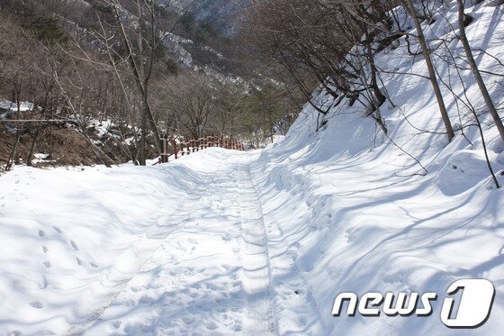 본문 이미지 - 3월 중순에도 여전히 눈이 쌓여 있는 강원 고성군 진부리 산길.&#40;사진제공=강원지방우정청&#41;.2014.3.20/뉴스1 © News1 권혜민 기자
