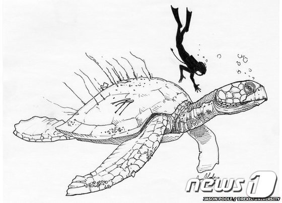 본문 이미지 - 아틀란토켈리스 모르토니 복원도.(출처=드렉셀 대학 자연과학연구소)© News1 