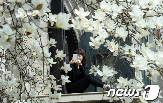 (서울=뉴스1) 손형주 기자 = 서울 한낮 기온이 23도까지 올라 초여름 더위가 절정에 이른 28일 서울 이화여대에서 학생들이 활짝 핀 목련 꽃 아래에서 사진을 찍으며 즐거운 시간 …