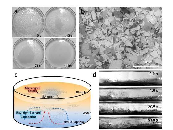 본문 이미지 - 물위에 휘발성 용매를 첨가하는 간단한 방법으로 용액에 분산한 그래핀 나노입자가 계면에서 조립된다. 약 10센티미터 지름의 필름이 2분 이내에 형성된다.© News1  