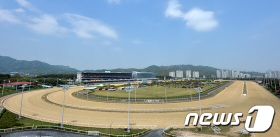본문 이미지 - 경기 과천시 렛츠런파크 서울(구 서울경마공원) 경마장(뉴스1  DB) ⓒ 뉴스1