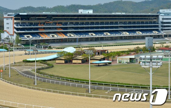 본문 이미지 - 경기 과천시 렛츠런파크 서울(구 서울경마공원) 경마장(뉴스1  DB) ⓒ 뉴스1