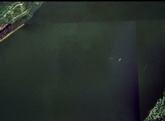 본문 이미지 - 네스호에서 괴생물체로 추정되는 사진 ©애플맵=News1 