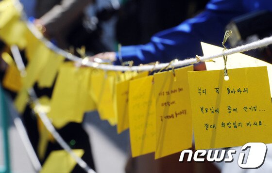 본문 이미지 - 세월호 참사 8일째인 지난 2014년 4월23일 광주 금남로 본관 입구에 실종자들의 귀환을 기원하는 노란리본이 달려 있다. /뉴스1 ⓒ News1 