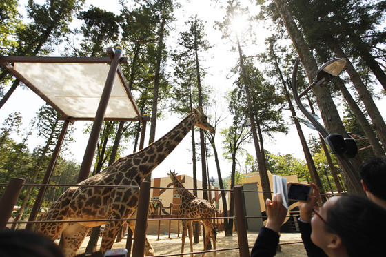 6년 멈췄던 부산 '동물원 시계' 다시 돈다…10월 임시 개방 목표