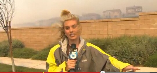 본문 이미지 - © KLTV 캡처 