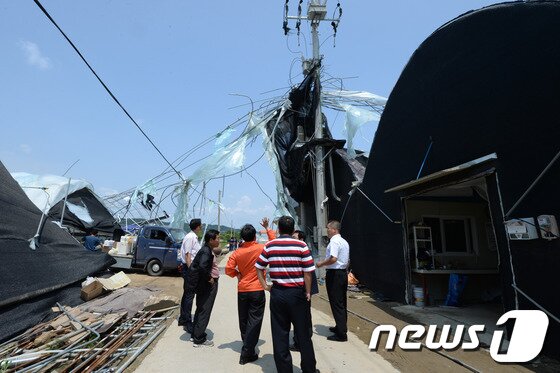 본문 이미지 - '토네이도' 피해를 입은 경기 고양시 일산서구 구산동 들녘의 한 전신주에 11일 오후 온실시설물 구조물이 엉켜있다.기상청은 10일 오후 7시께 고양시 장월나들목 인근 한강 둔치에서 토네이도 현상이 발생해 한시간 동안 지속됐다고 밝혔다. 이번 토네이도로 구산동 일원 장미 재배용 비닐하우스 등 원예시설물 20동 이상이 파손되는 피해를 입었다. 2014.6.11/뉴스1 © News1   정회성 기자
