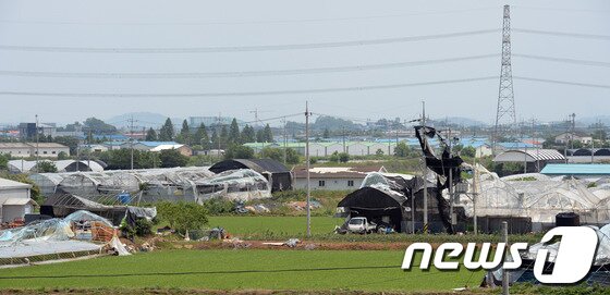 본문 이미지 - '토네이도'(용오름) 피해를 입은 경기 고양시 일산서구 구산동 일원 들녘에 11일 오후 훼손된 온실시설물들이 복구를 기다리고 있다.기상청은 10일 오후 7시께 고양시 장월나들목 인근 한강 둔치에서 토네이도(용오름) 현상이 발생해 한시간 동안 지속됐다고 밝혔다. 이번 토네이도로 구산동 일원 장미 재배용 비닐하우스 등 원예시설물 20동 이상이 파손되는 피해를 입었다. 강하게 회전하며 깔때기 모양을 이루는 이 회오리 바람을 우리나라에서는 용오름이라 부른다. 우리나라는 산지가 많아 토네이도가 잘 발생하지 않는 반면 바다에서는 용오름 현상이 종종 발생한다. 2014.6.11/뉴스1  © News1   정회성 기자