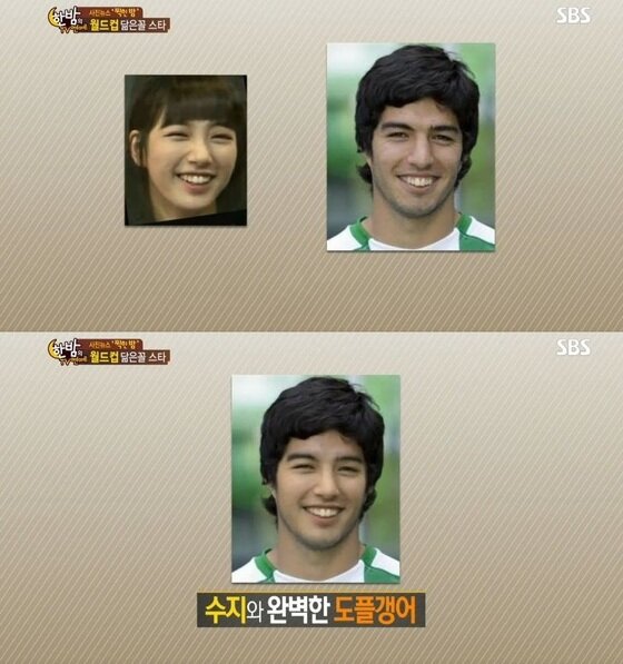 본문 이미지 - 수아레스 핵이빨 패러디물에 이어 수아레스와 수지 닮은 꼴 패러디물이 화제가 되고 있다. © SBS '한 밤의 TV 연예' 방송화면 캡처 