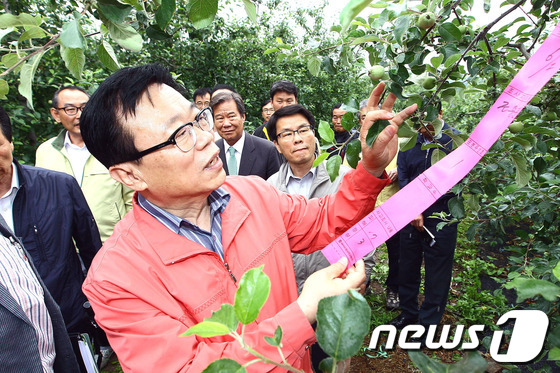 (서울=뉴스1) 정회성 기자 = 이동필 농림축산식품부 장관이 5일 지난달 우박 피해를 입은 경북 의성군 사목면·청송면 안덕면 지역 과수농가를 찾아 피해 상황을 둘러보고 있다. (농 …