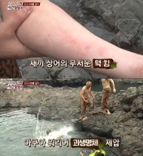 본문 이미지 - 유상무를 물었던 새끼 상어는 대한민국 연안에서 서식하는 까치상어로 추정되고 있다. © tvN '렛츠고 시간탐험대2' 캡처