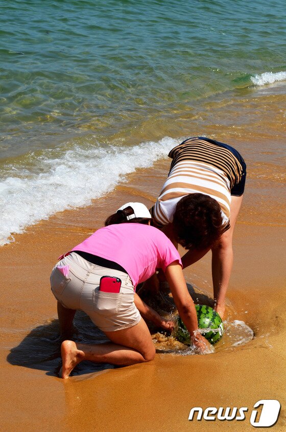 본문 이미지 - 동해안 해수욕장 중 속초해수욕장이 1일 첫 문을연 가운데 피서객들이 수박을 담그기 위해 모래를 파고 있다. 2014.7.1/뉴스1 © News1 엄용주 