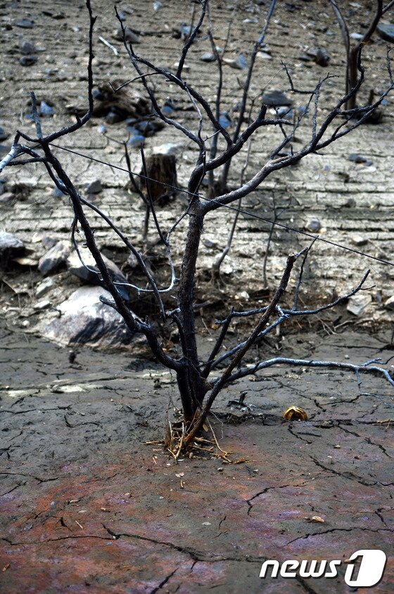 본문 이미지 - 14일 마른 장마로 인해 극심한 가뭄이 이어지는 가운데 강원 춘천시 수도과 관계자가 서면 당림2리 밸골에 위치한 마을 상수도 배수통에 생활용수를 공급하고 있다. © News1   황준 