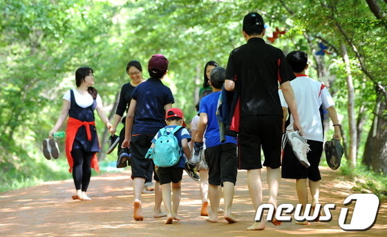 본문 이미지 - 계족산 황톳길. /뉴스1