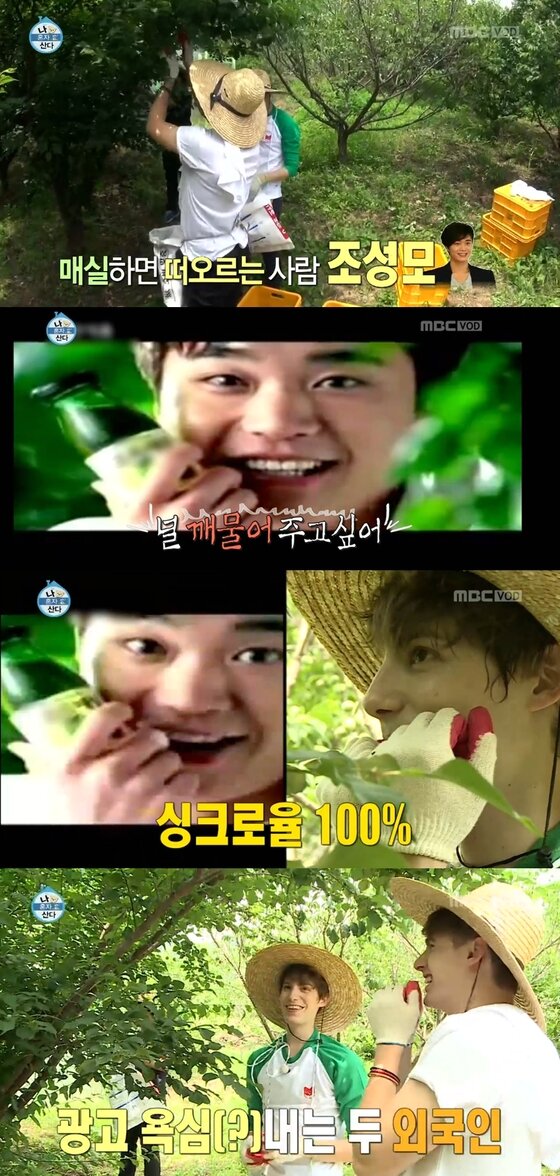 본문 이미지 - 파비앙과 조쉬가 조성모의 매실 광고를 흉내내며 즐거운 시간을 보냈다. ⓒ MBC '나 혼자 산다' 캡처