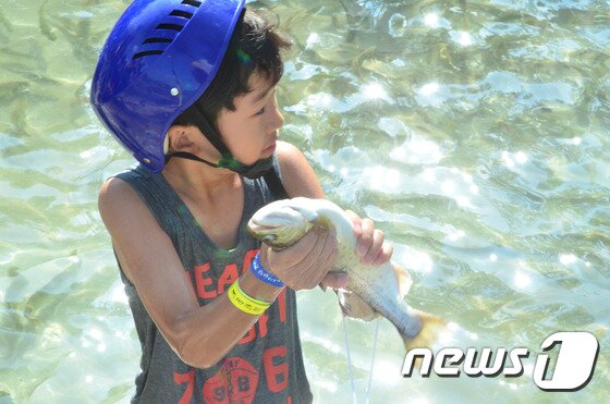 본문 이미지 - 27일 화천쪽배 축제 "어린이 산천어 맨손잡기" 행사에서 한 어린이가 산천어를 잡아 들어보이고 있다. 26일 개막한 화천쪽배축제는 8월 10일까지 계속된다.2014.7.26/뉴스1
