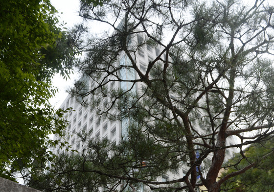 공관장 인사 늦어지는데 '내란조사 TF'까지…뒤숭숭한 외교부