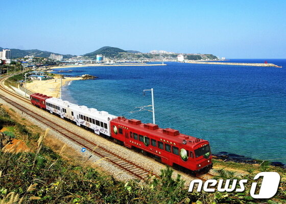 본문 이미지 - 강릉~삼척을 왕복하는 '바다열차'.© News1 