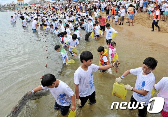 본문 이미지 - 속초시 장사항에서 열린 "장사항 오징어 맨손잡기" 축제에 참가한 시민들이 오징어를 맨손으로 잡으며 축제를 즐기고 있다. 이 축제는 2일까지 열린다. (사진제공=속초시) 2014.8.1/뉴스1