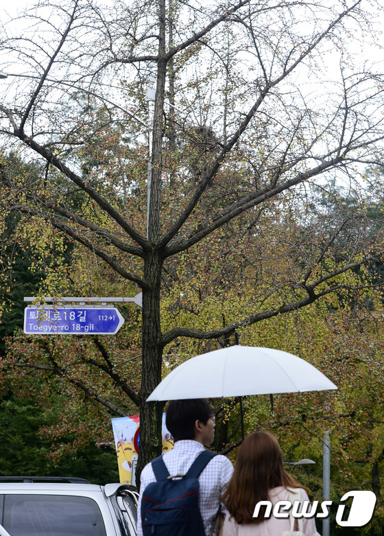 (서울=뉴스1) 박지혜 기자 = 21일 오후 서울 중구 소월로 가로수길 은행나무들이 페스탈로치아 잎마름병에 감염돼 앙상한 모습을 보이고 있다.페스탈로치아 잎마름병은 단풍이 들기 전 …