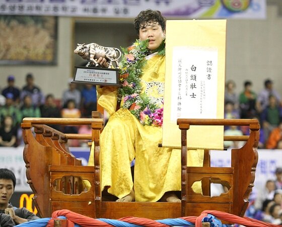 본문 이미지 - 2014 보은 대회와 단오대회에서 백두장사가 된 김진&#40;증평군청&#41;이 백두급 강력한 우승 후보로 꼽히고 있다. 뉴스1스포츠 / 대한씨름협회 제공