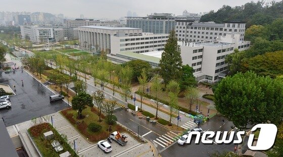 본문 이미지 - 서울 연세대학교 내 보행자 전용 거리로 새롭게 단장한 백양로의 모습. /뉴스1 ⓒ News1 손형주 기자