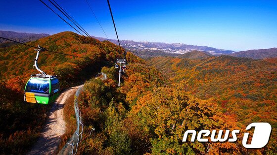 본문 이미지 - 발왕산의 단풍. (뉴스1 DB) ⓒ News1