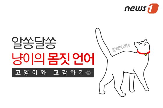 본문 이미지 - ⓒ News1