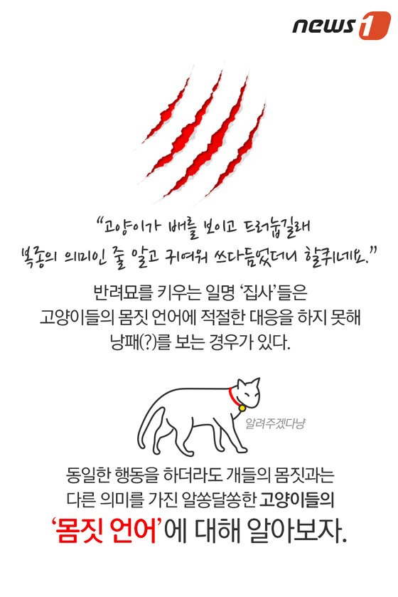 본문 이미지 - ⓒ News1