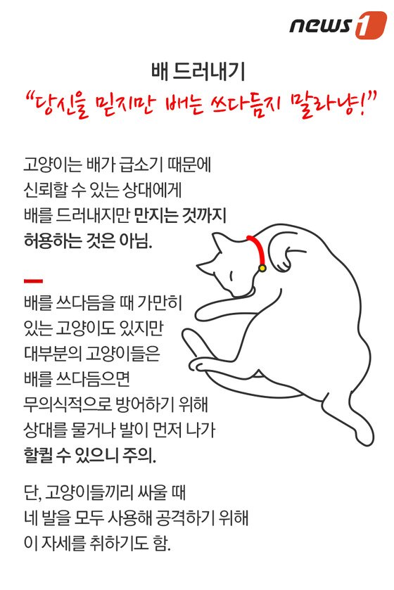 본문 이미지 - ⓒ News1