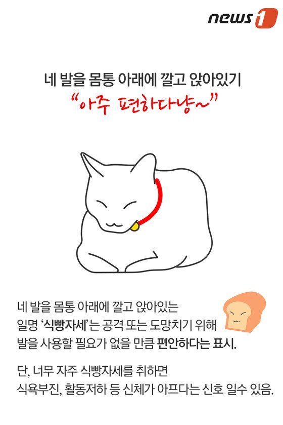 본문 이미지 - ⓒ News1