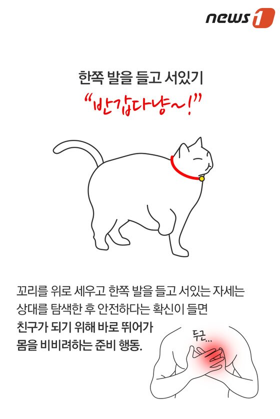 본문 이미지 - ⓒ News1