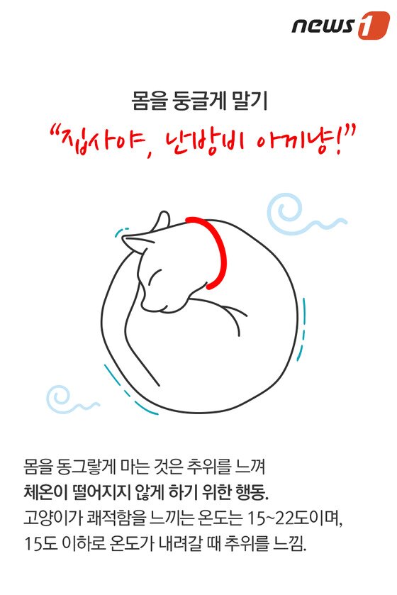 본문 이미지 - ⓒ News1