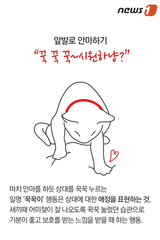 본문 이미지 - ⓒ News1